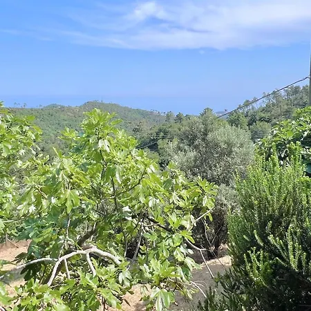 Casetta Di Campagna